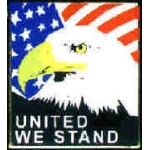 USA UNITED WE STAND EAGLE SQ PIN